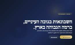 מעוז ושות׳ רואי חשבון – תצוגת מחשב